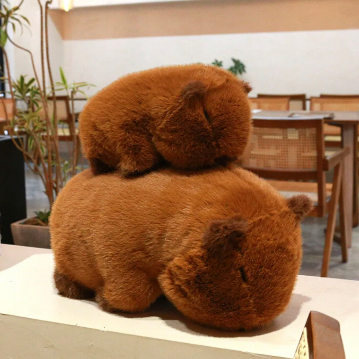PlushyFriends Funny Capybara Plushies 25CM 35CM