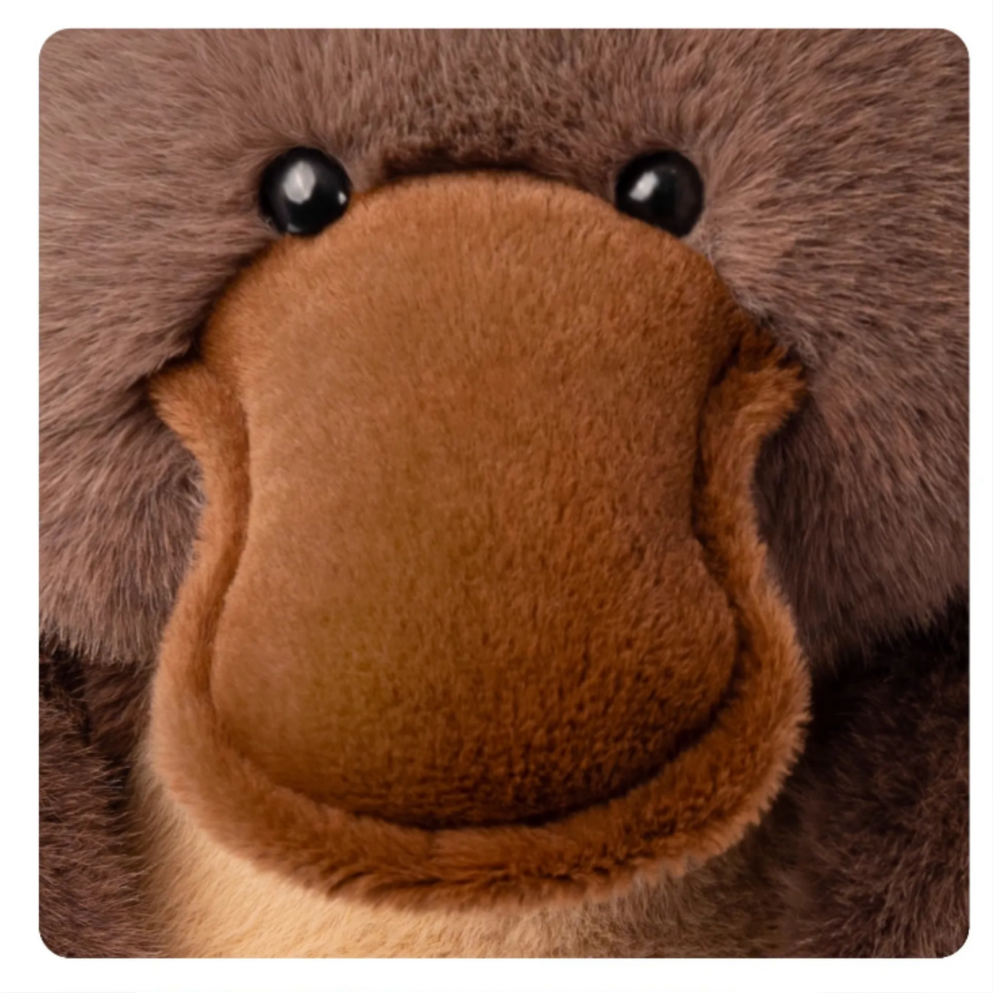 PlushyFriends long-billed duck Plush Toy – 40cm